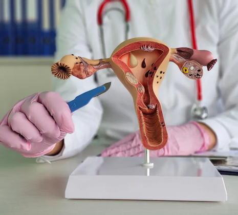 Vaginal Hysterectomy in Gota, Ahmedabad